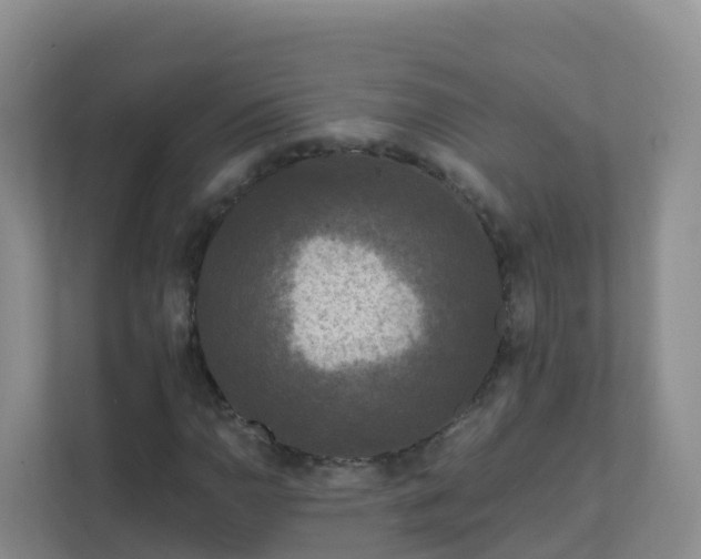 X0000111641110200907241105