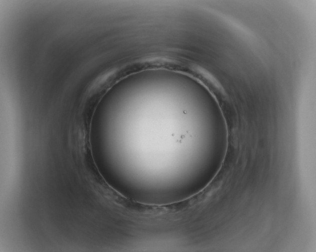 X0000111641111200907241105