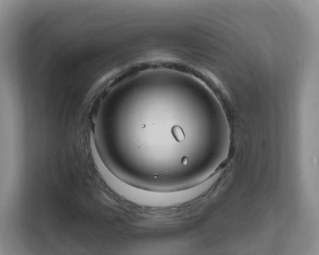 X0000111641112200907241105