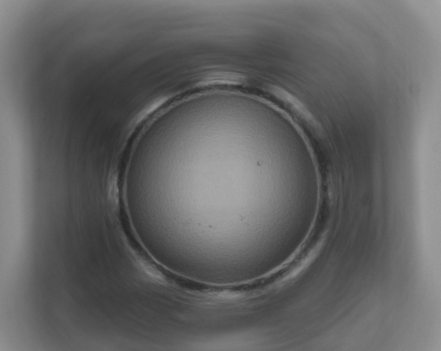 X0000111641113200907241105