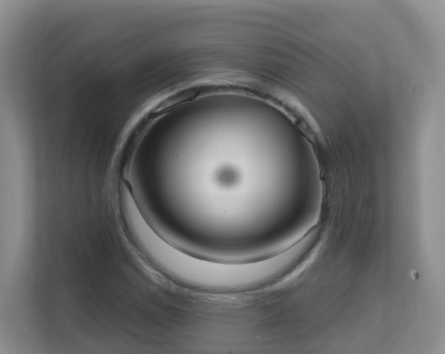 X0000111641114200907241105