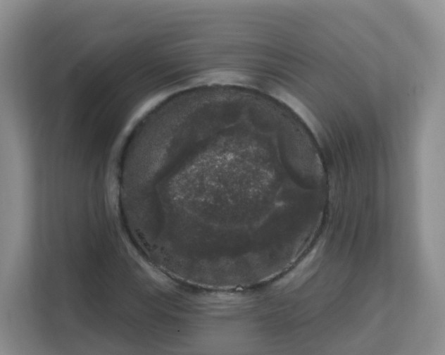 X0000111641115200907241105