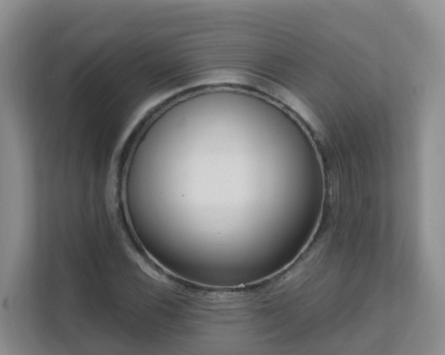 X0000111641116200907241105