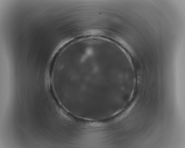 X0000111641117200907241105