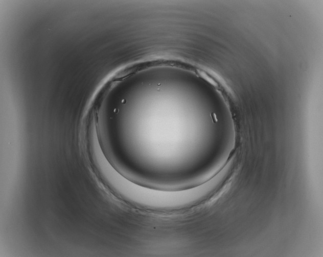 X0000111641118200907241105