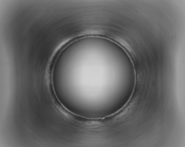 X0000111641119200907241105