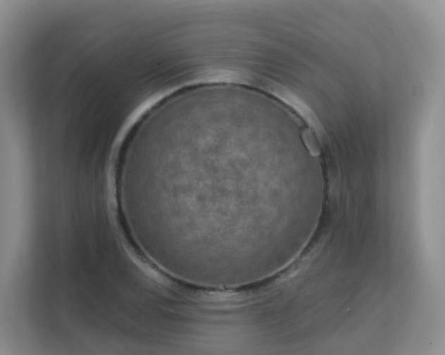 X0000111641120200907241105