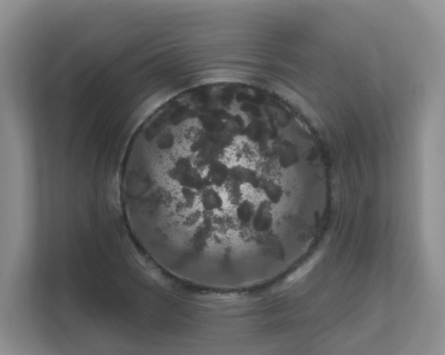 X0000111641121200907241105