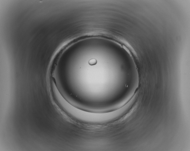 X0000111641122200907241105