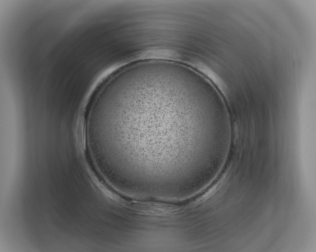 X0000111641123200907241105