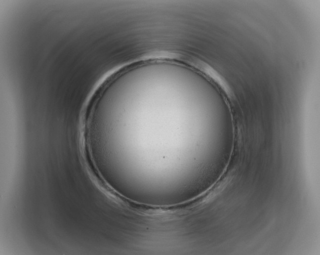 X0000111641124200907241105