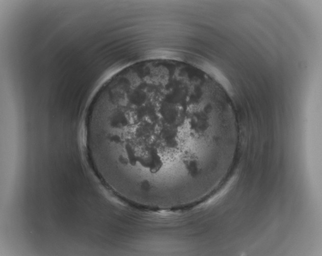 X0000111641125200907241105