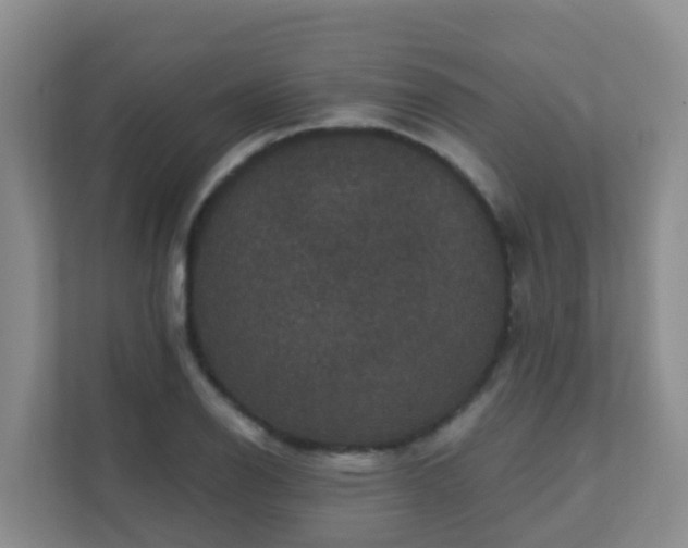 X0000111641126200907241105