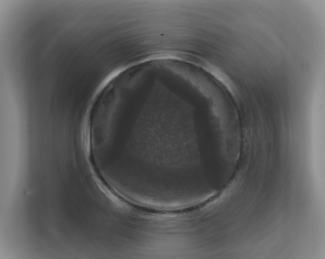 X0000111641127200907241105