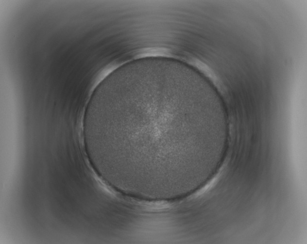 X0000111641129200907241105