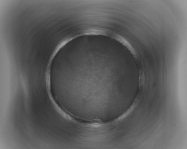 X0000111641130200907241105