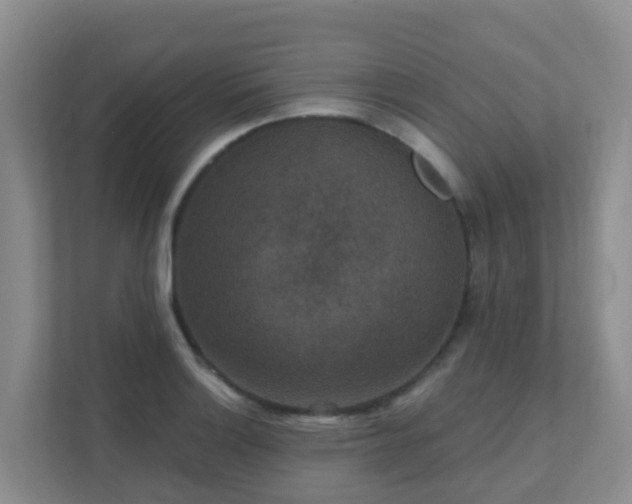 X0000111641132200907241105