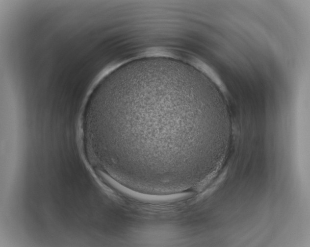 X0000111641133200907241105