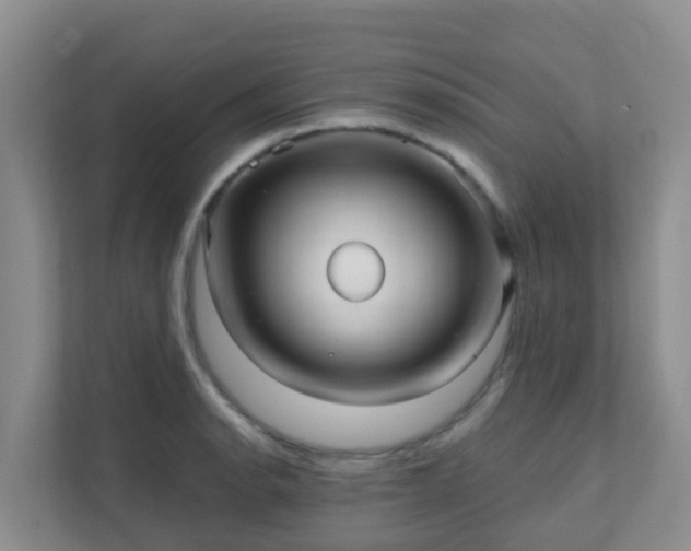 X0000111641134200907241105