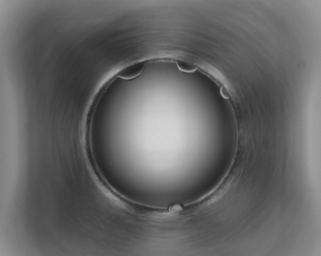 X0000111641135200907241105