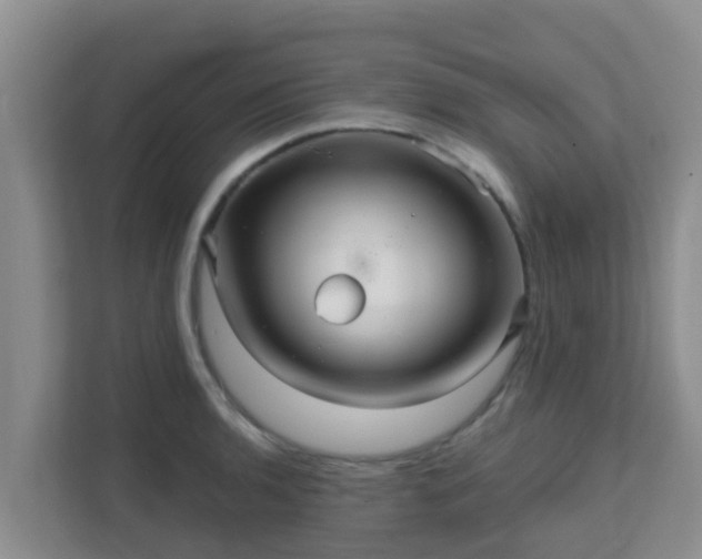 X0000111641136200907241105