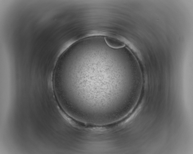 X0000111641137200907241105