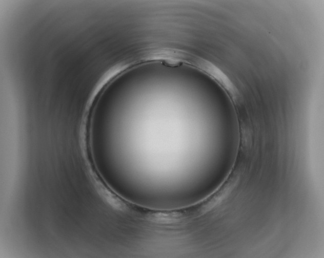 X0000111641138200907241105