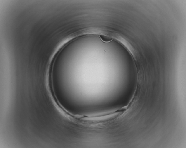 X0000111641139200907241105