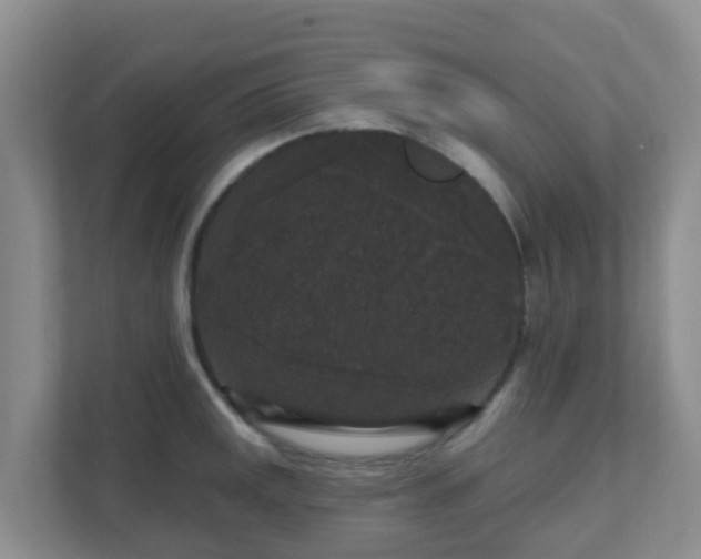 X0000111641141200907241105