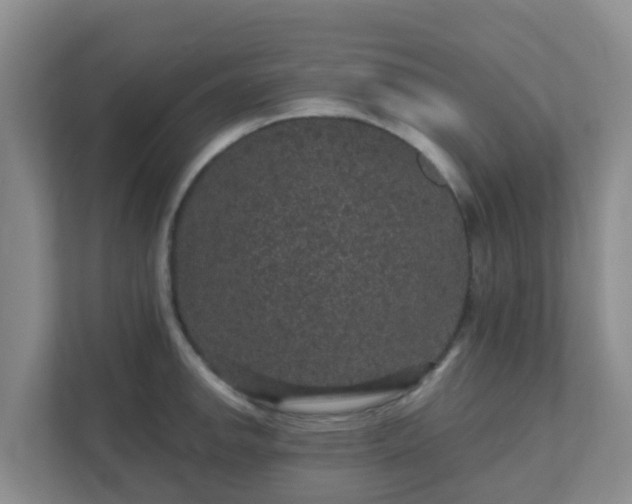 X0000111641142200907241105