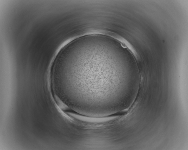 X0000111641143200907241105