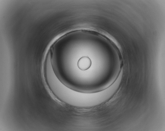 X0000111641144200907241105