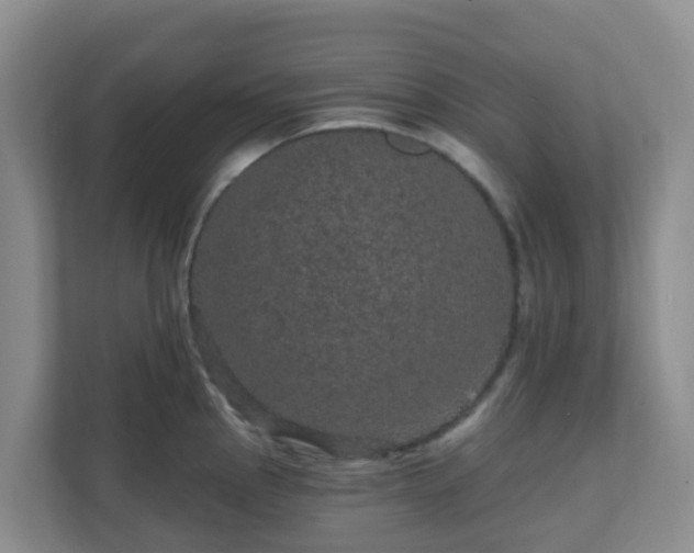 X0000111641145200907241105