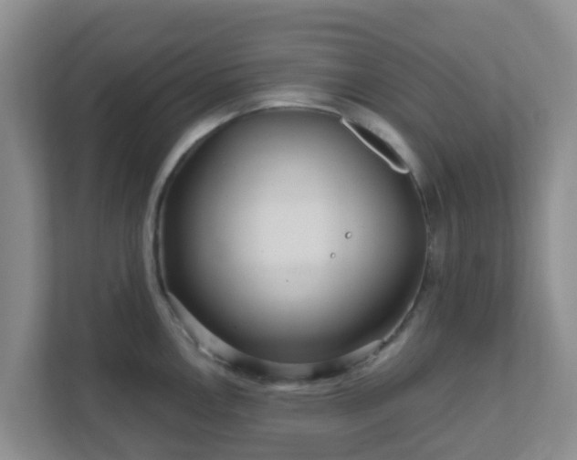 X0000111641146200907241105