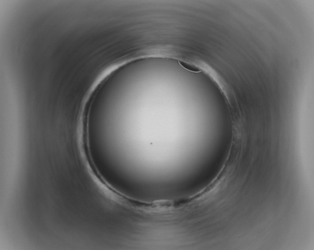 X0000111641147200907241105