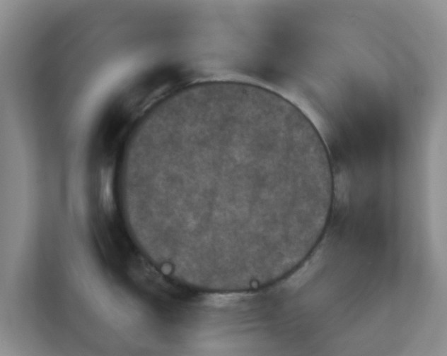 X0000111641150200907241105