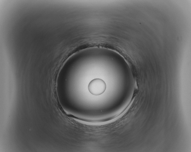 X0000111641153200907241105