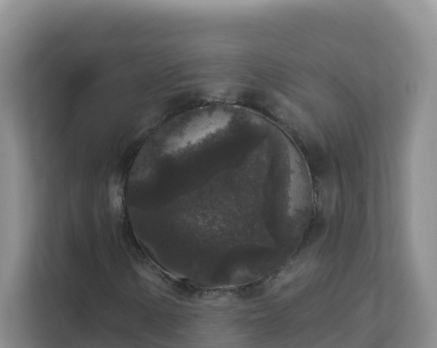 X0000111641154200907241105