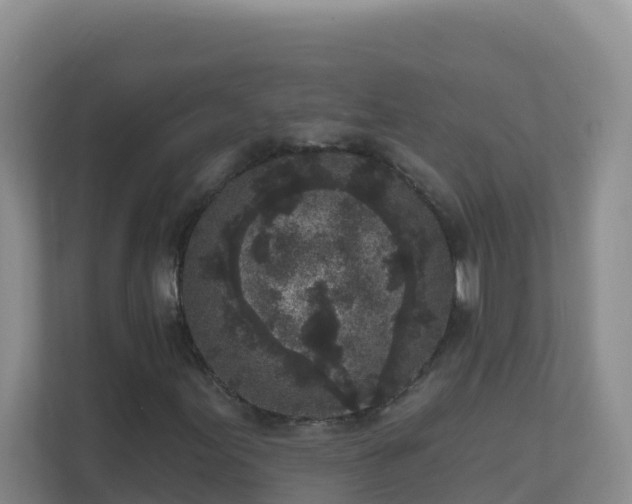 X0000111641155200907241105