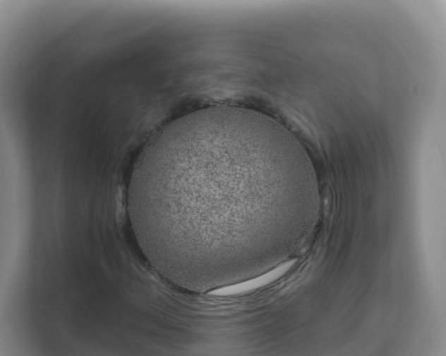 X0000111641156200907241105