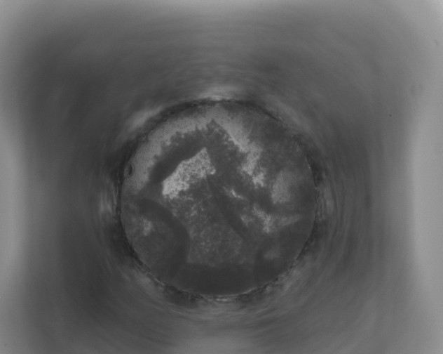 X0000111641158200907241105