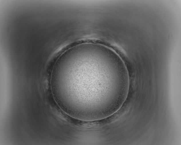 X0000111641159200907241105