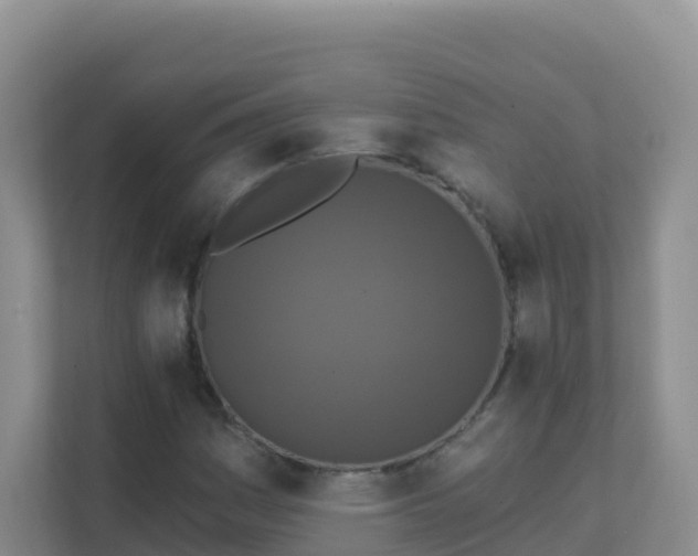 X0000111641161200907241105