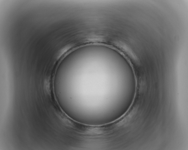 X0000111641162200907241105