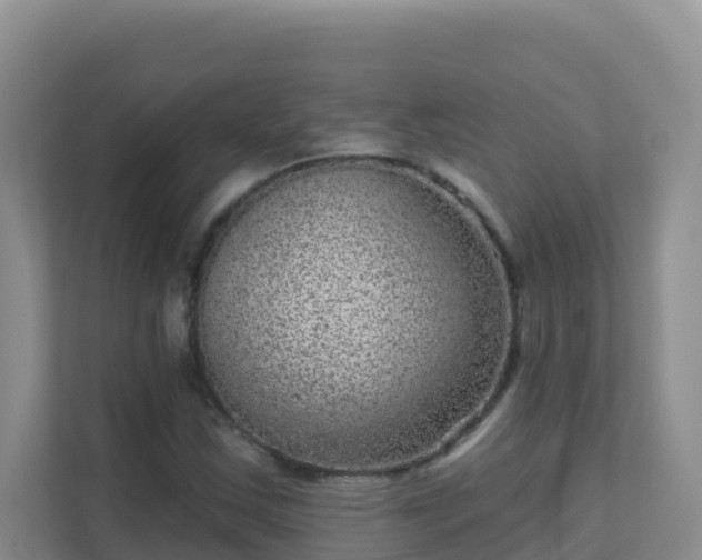 X0000111641163200907241105