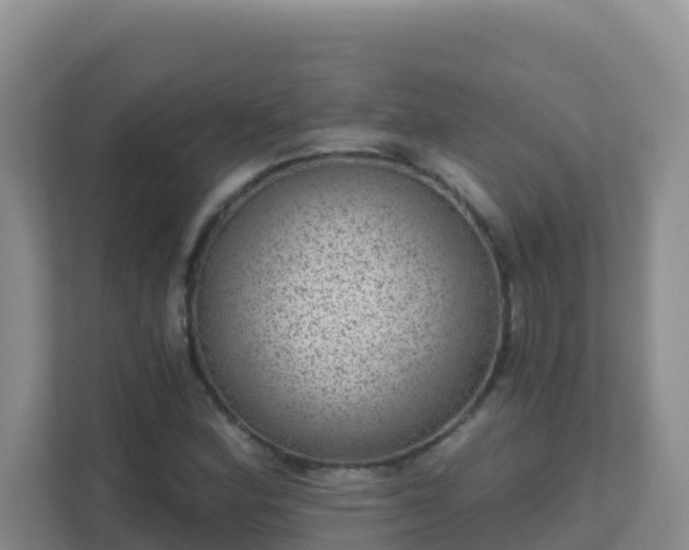 X0000111641164200907241105