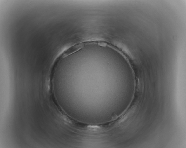 X0000111641165200907241105