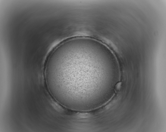 X0000111641168200907241105