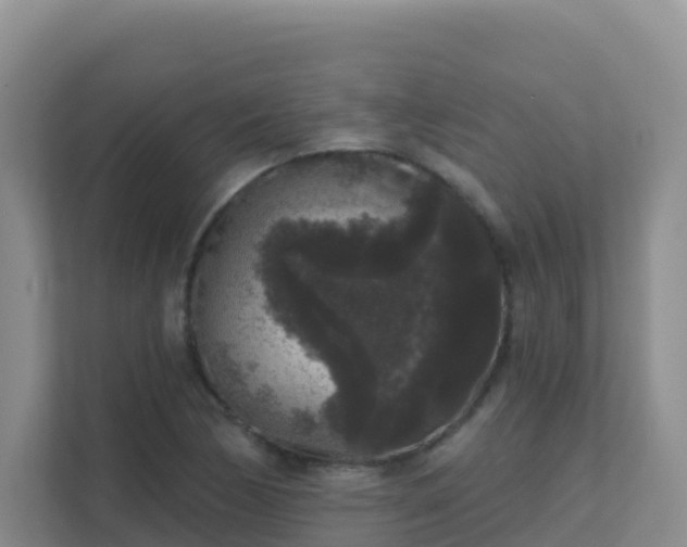 X0000111641170200907241105