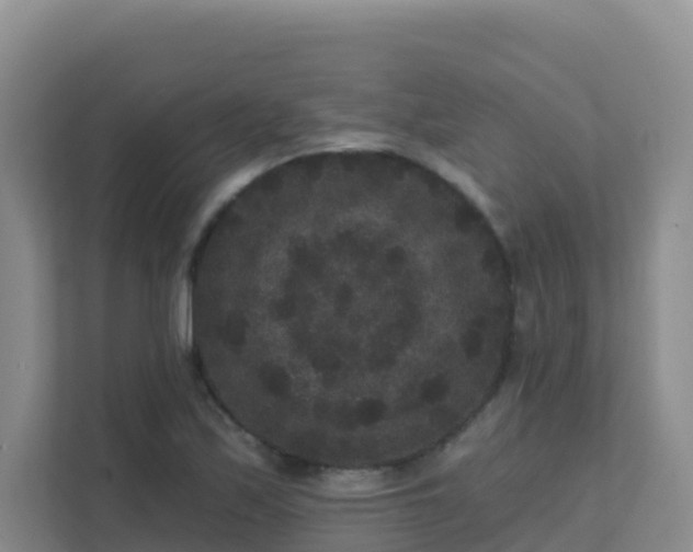 X0000111641171200907241105